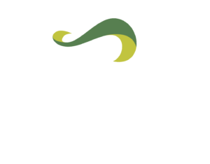 IES logo